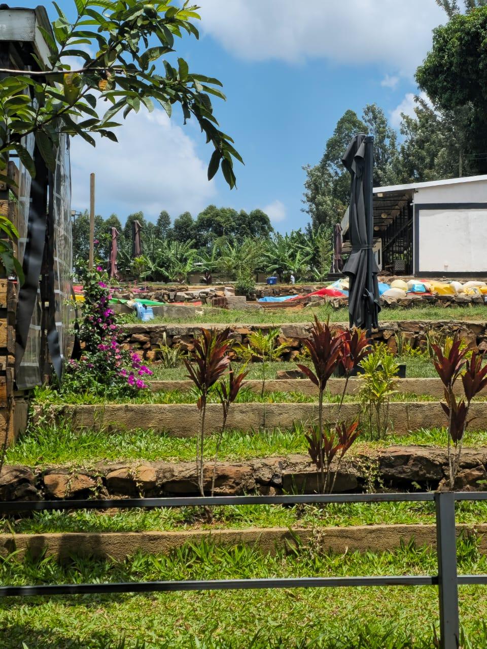 CabHouse gardens for overnight stays